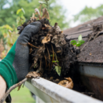 Hand wearing a green glove removing debris from a gutter, illustrating the importance of regular gutter maintenance and cleaning to prevent clogs and ensure proper water flow.