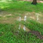 Puddle forming in grassy area, indicating potential hidden water leak in home, relevant to plumbing services for leak detection and repair.
